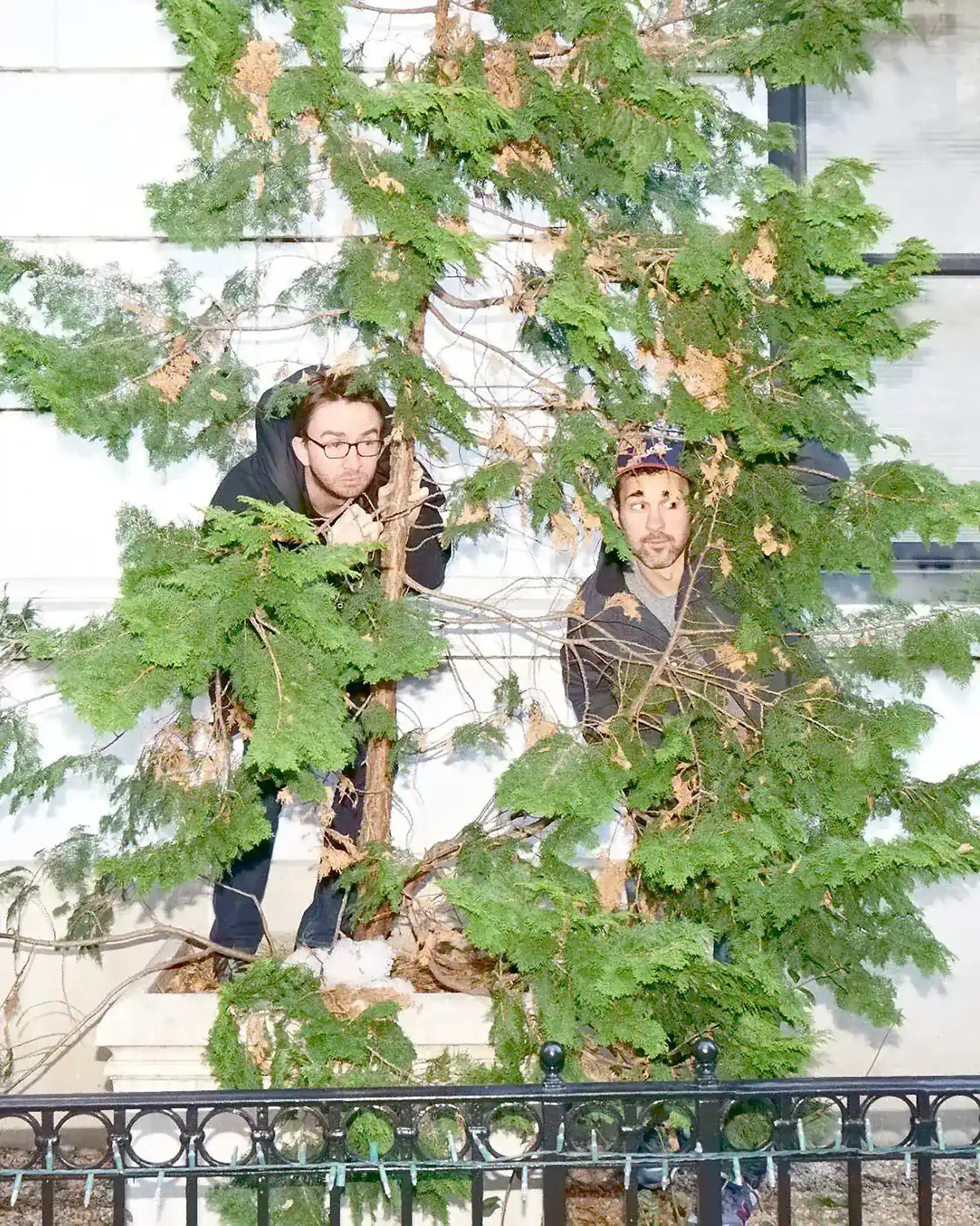 Climbing a Tree in NYC | Mark Normand and Joe List | Tuesdays with Stories Comedians Mark Normand and Joe List of Tuesdays with Stories climbing in a city tree in NYC. Find Mark Normand Tour Dates and Joe List Tour Dates at www.tuesdayspod.com/find-a-show